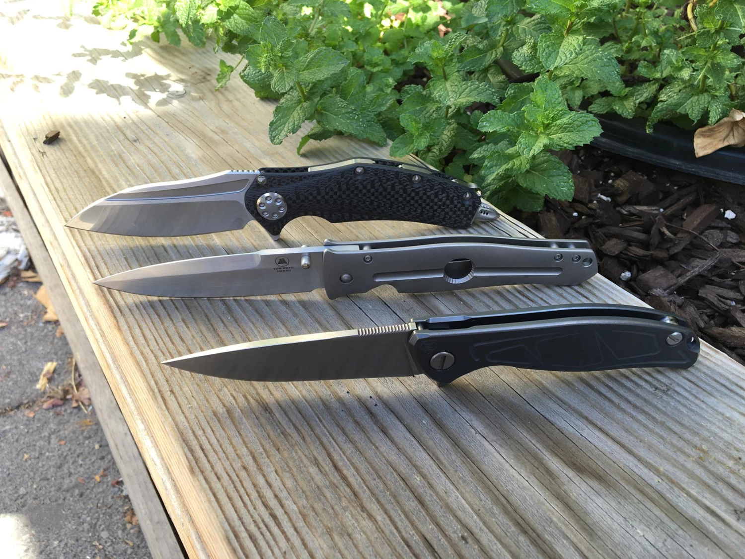 Daggers Online Shop -Daggers Online Shop 294183738 495255505837241 3634295892662528411 n